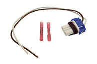 Glühlampen-Stecker