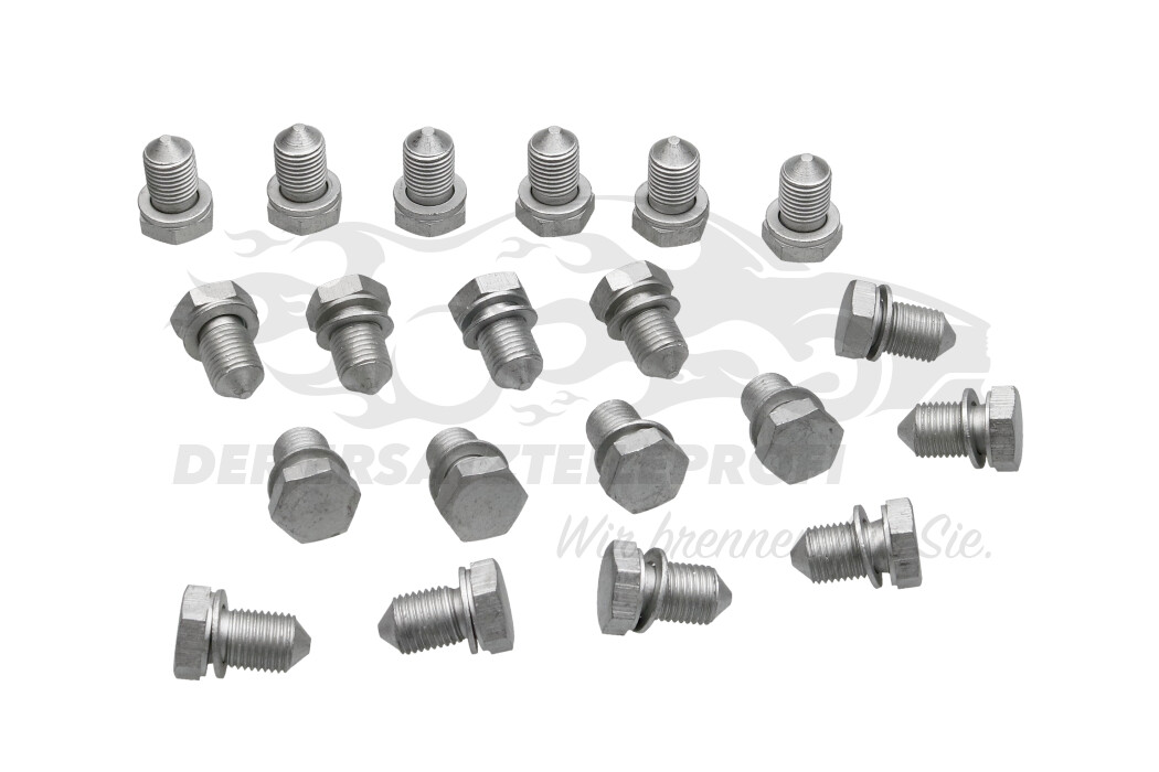 Ölablassschraube + Dichtung Dichtring Verschlussschraube Ölwanne
