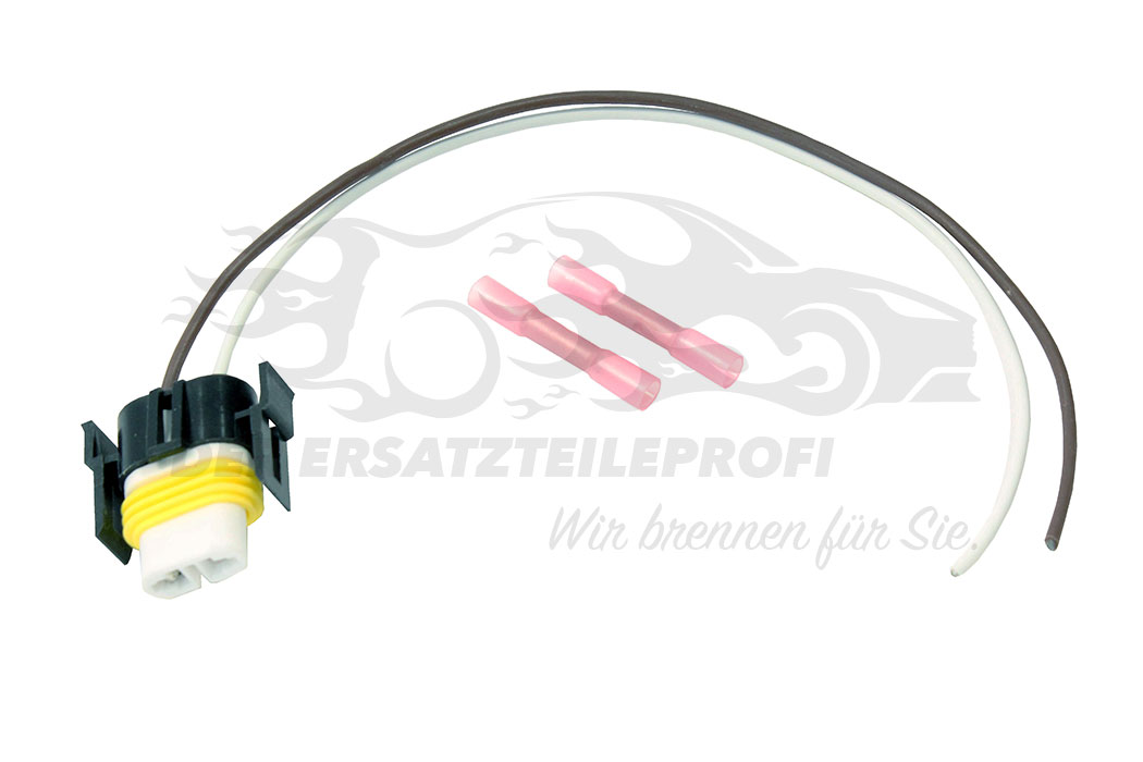 Glühlampen-Stecker