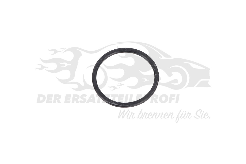 Federzylinder-Dichtung