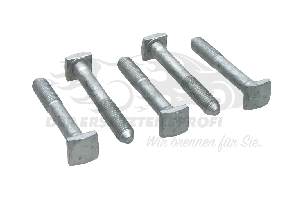Original Peugeot Befestigungsschraube M10x1,50-79 (VPE 5) 6925L7 