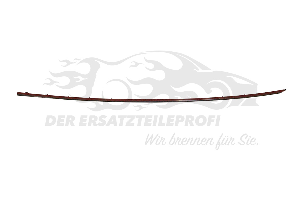 Zier- Schutzleiste für Frontscheibe
