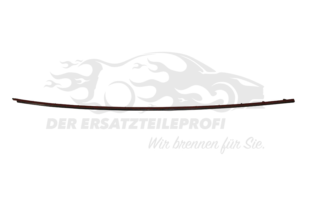 Zier- Schutzleiste für Frontscheibe