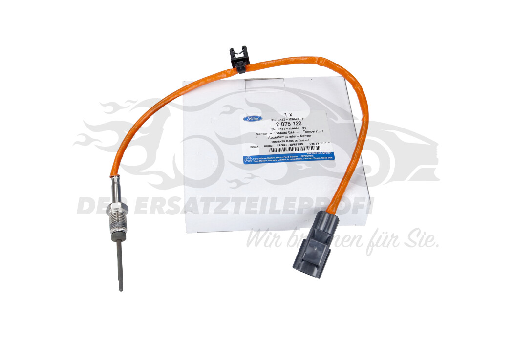 Abgastemperatursensor