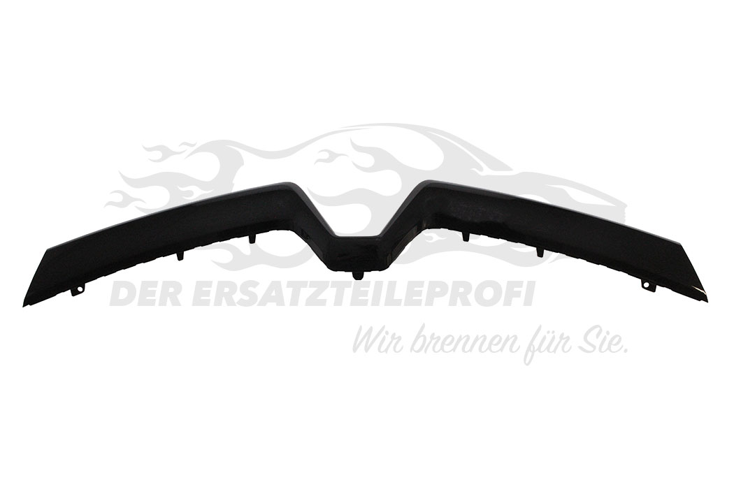 Zier- Schutzleiste für Stoßfänger