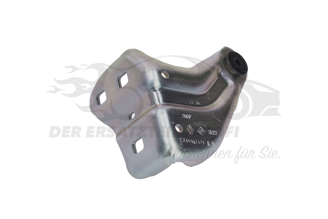 Original Renault Führungsrolle für Türscharnier unten rechts 745967497R ...
