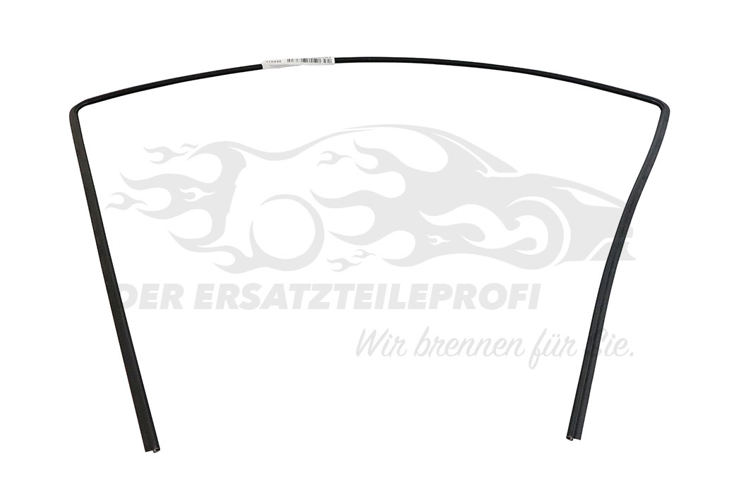 Zier- Schutzleiste für Frontscheibe