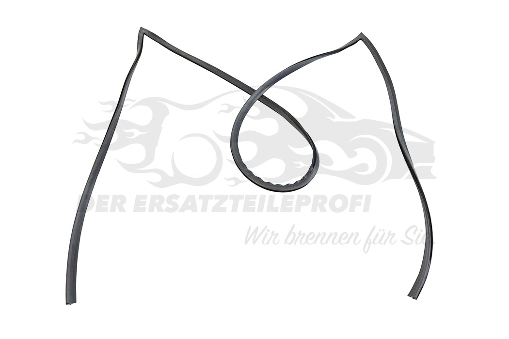 Zier- Schutzleiste für Frontscheibe