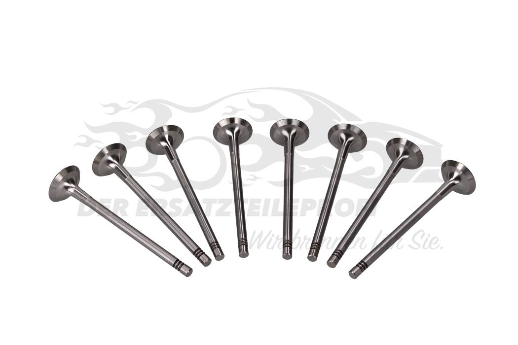 Auslassventilsatz (VPE 8 Stück) 8201627433 online kaufen