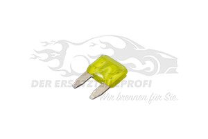 Sicherungen Dacia 7700410576
