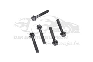 Zentrierschraube für Riemenscheibe Kurbelwelle Fiat 500375263