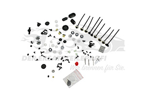 Montagesatz für Tür Renault 800994769R