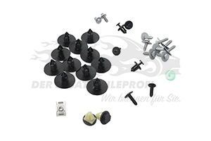 Montagesatz für Kotflügel Renault 600387931R