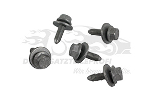 600389365R Befestigungssatz für Kotflügel Renault