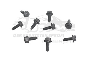 600389365R Befestigungssatz für Kotflügel Renault