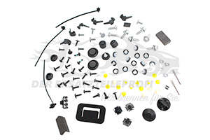 Montagesatz für Tür Renault 600388308R