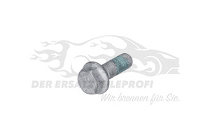 Schraube für Bremssattel Renault 7703102155