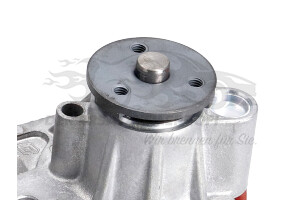 210104880R Wasserpumpe Renault
