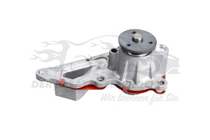 210104880R Wasserpumpe Renault