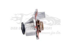 210104880R Wasserpumpe Renault