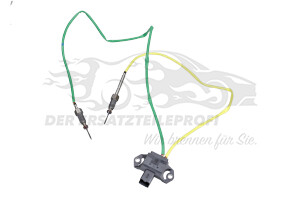 Abgastemperatursensor Renault 226588526R