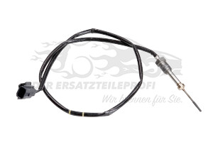 Abgastemperatursensor 226400396R