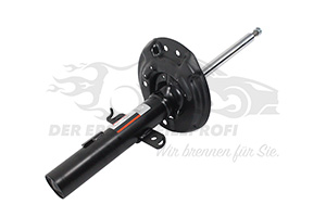543025418R Stoßdämpfer vorne 
