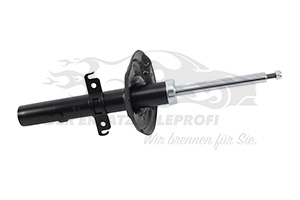 543025418R Stoßdämpfer vorne 