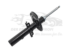 543025418R Stoßdämpfer vorne 