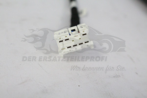 904520316R Heckklappendämpfer links oder rechts Renault