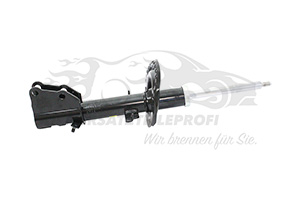 543029762R Stoßdämpfer vorne Renault