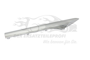 Zier- Schutzleiste für Tür 828D04184R