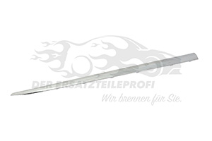 Zier- Schutzleiste für Tür 808D06047R