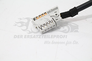 98081769ZD Lenkstockschalter 