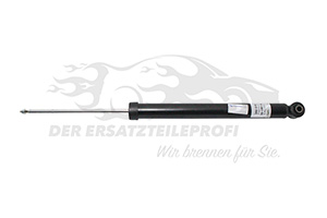 Stoßdämpfer 2460313
