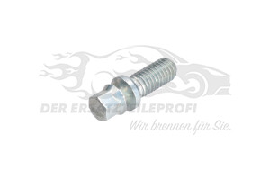 Schraube für Zündschloss Renault 487034F10A
