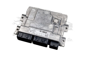 Steuergerät für Motormanagement