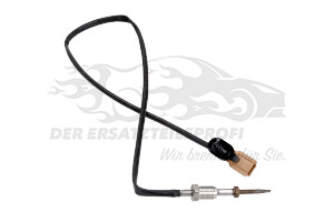 Abgastemperatursensor 226409845R