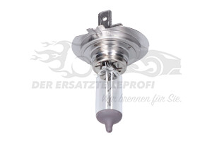 7701057737 Glühlampe LONGLIFE Renault