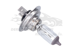 7701057737 Glühlampe LONGLIFE Renault