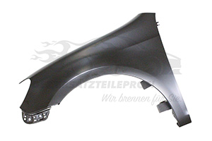 Kotflügel links