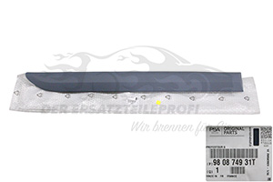 Zier- Schutzleiste für Seitenwand Citroen 980874931T