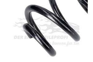 550206340R Fahrwerksfeder hinten Renault