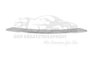 Zier- Schutzleiste für Stoßfänger 98259524YS