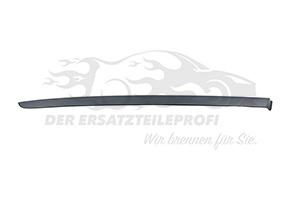 8120AA Zier-/Schutzleiste, Frontscheibe Citroen