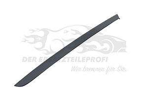 8120AA Zier-/Schutzleiste, Frontscheibe Citroen