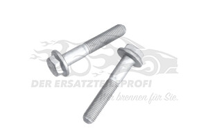 Schraube für Traggelenk Citroen 362264