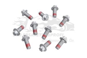 Schraube für Bremssattelhalter vorne (VPE 2)
