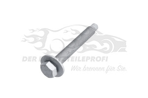Schraube unten am Querlenker