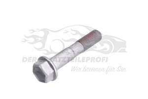 Schraube unten am Querlenker
